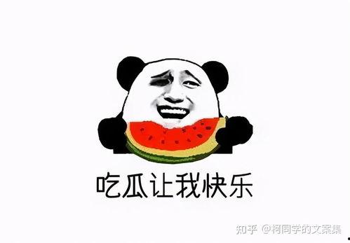 娱乐吃瓜点评文案搞笑,笑料百出，瓜皮满天飞  第2张