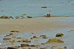 爱情岛国产  第2张