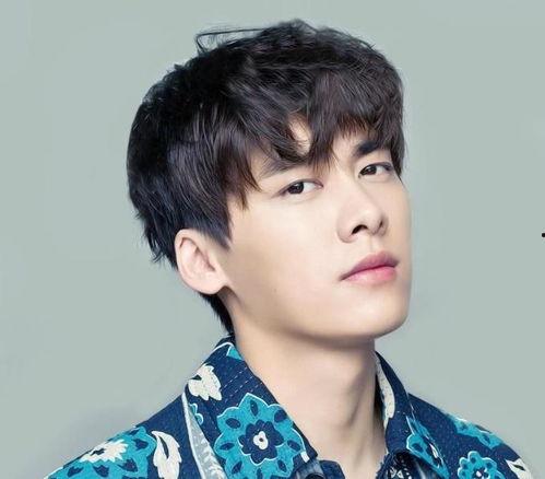 娱乐圈吃瓜李易峰是谁呀,揭秘李易峰的星光之路  第2张