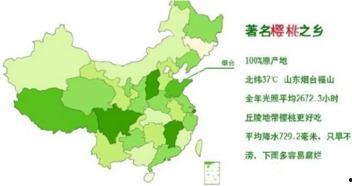最新国产区,探索国产电影的新时代篇章