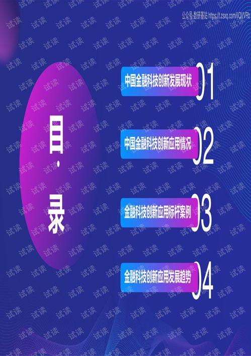 国产51页,揭秘中国科技发展的新篇章  第2张